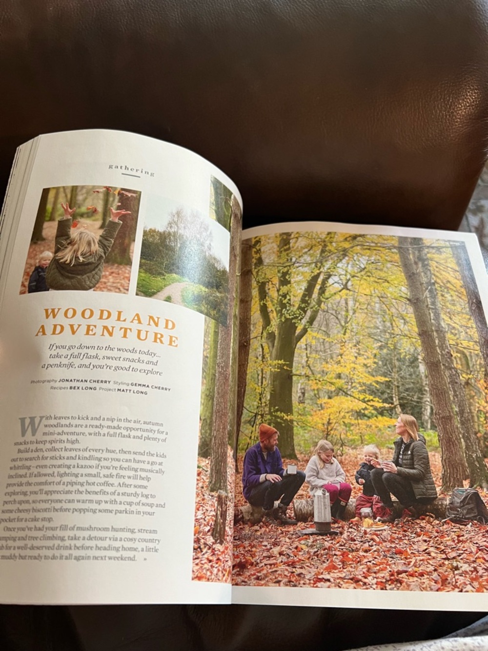 Homebird Magazine - Picture 13 of 14